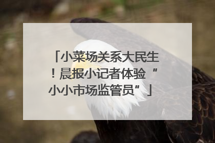 小菜场关系大民生！晨报小记者体验“小小市场监管员”