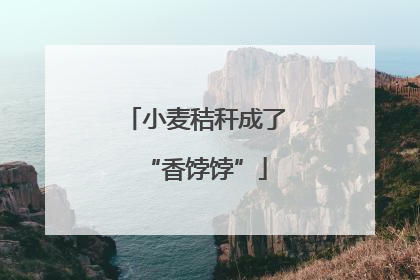 小麦秸秆成了“香饽饽”
