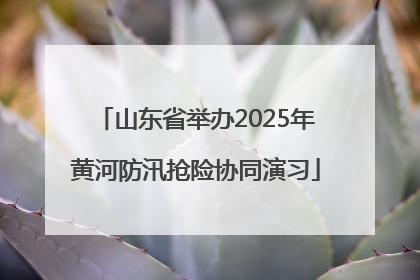 山东省举办2025年黄河防汛抢险协同演习