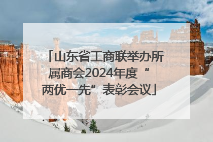 山东省工商联举办所属商会2024年度“两优一先”表彰会议