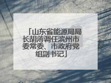 山东省能源局局长胡薄调任滨州市委常委、市政府党组副书记