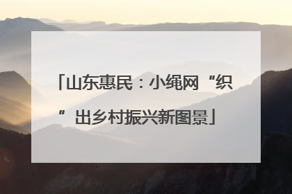 山东惠民：小绳网“织”出乡村振兴新图景