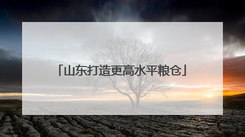 山东打造更高水平粮仓