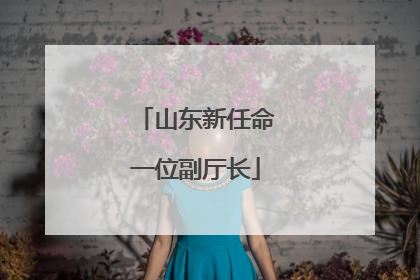 山东新任命一位副厅长