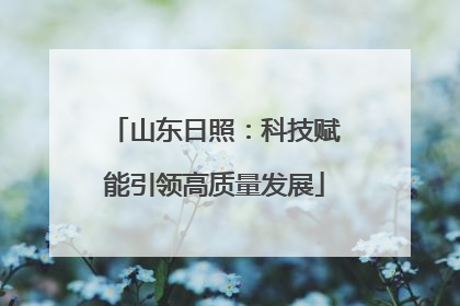 山东日照：科技赋能引领高质量发展