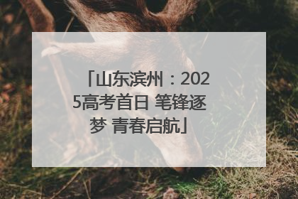 山东滨州：2025高考首日 笔锋逐梦 青春启航