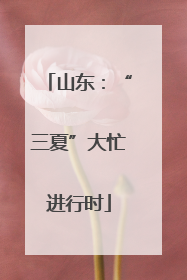 山东：“三夏”大忙进行时