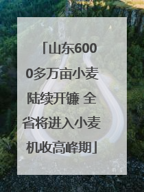 山东6000多万亩小麦陆续开镰 全省将进入小麦机收高峰期