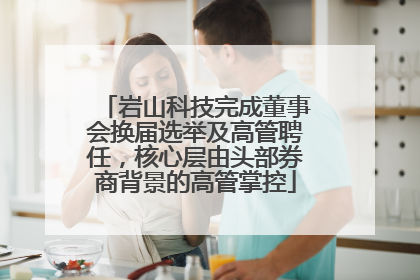 岩山科技完成董事会换届选举及高管聘任，核心层由头部券商背景的高管掌控