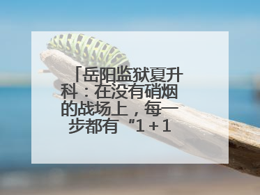 岳阳监狱夏升科：在没有硝烟的战场上，每一步都有“1＋1＝2”的笃定