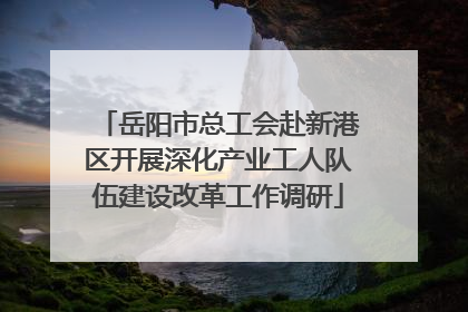 岳阳市总工会赴新港区开展深化产业工人队伍建设改革工作调研