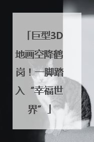 巨型3D地画空降鹤岗！一脚踏入“幸福世界”