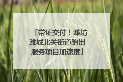 带证交付！潍坊潍城北关街道跑出服务项目加速度
