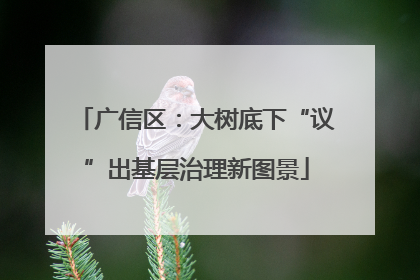 广信区：大树底下“议”出基层治理新图景