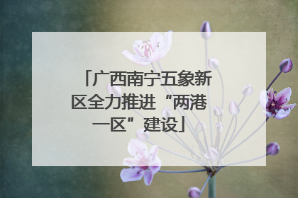 广西南宁五象新区全力推进“两港一区”建设