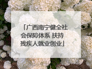 广西南宁健全社会保障体系 扶持残疾人就业创业