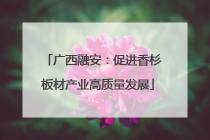 广西融安：促进香杉板材产业高质量发展
