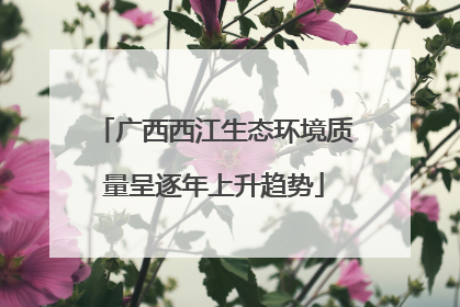 广西西江生态环境质量呈逐年上升趋势