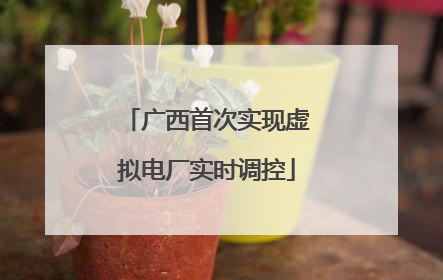 广西首次实现虚拟电厂实时调控