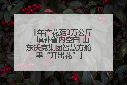 年产花菇3万公斤、填补省内空白 山东沃克集团智慧方舱里“开出花”