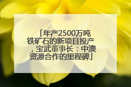 年产2500万吨铁矿石的新项目投产，宝武董事长：中澳资源合作的里程碑