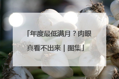 年度最低满月？肉眼真看不出来｜图集