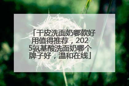 干皮洗面奶哪款好用值得推荐，2025氨基酸洗面奶哪个牌子好，温和在线