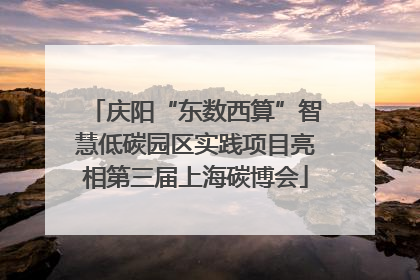 庆阳“东数西算”智慧低碳园区实践项目亮相第三届上海碳博会