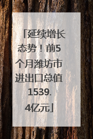 延续增长态势！前5个月潍坊市进出口总值1539.4亿元