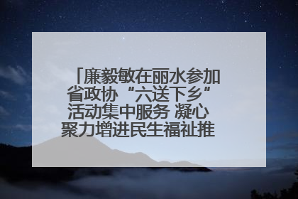 廉毅敏在丽水参加省政协“六送下乡”活动集中服务 凝心聚力增进民生福祉推进共同富裕