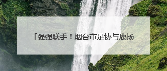 强强联手！烟台市足协与鹿扬体育举行战略合作签约仪式