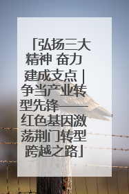 弘扬三大精神 奋力建成支点｜争当产业转型先锋——红色基因激荡荆门转型跨越之路