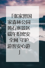 张家界国家森林公园黄石寨景区端午织密安全网 守护游客安心游