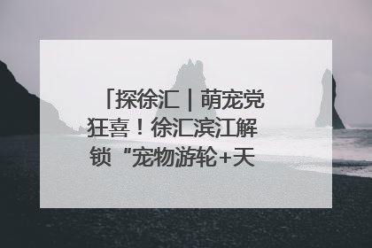 探徐汇｜萌宠党狂喜！徐汇滨江解锁“宠物游轮+天台乐园”双玩法