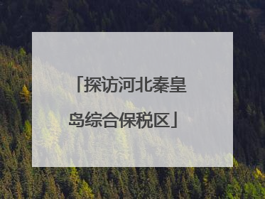探访河北秦皇岛综合保税区