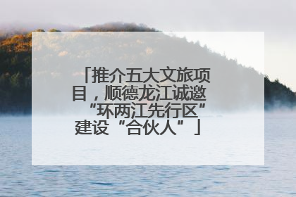 推介五大文旅项目，顺德龙江诚邀“环两江先行区”建设“合伙人”