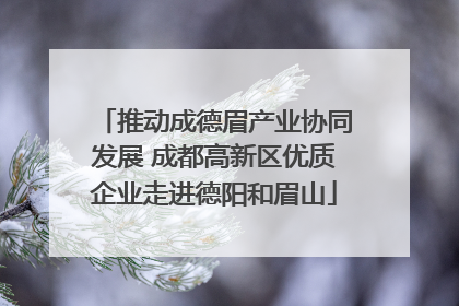 推动成德眉产业协同发展 成都高新区优质企业走进德阳和眉山