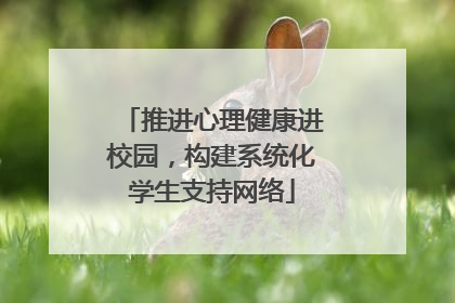 推进心理健康进校园，构建系统化学生支持网络