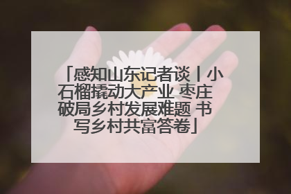感知山东记者谈丨小石榴撬动大产业 枣庄破局乡村发展难题 书写乡村共富答卷