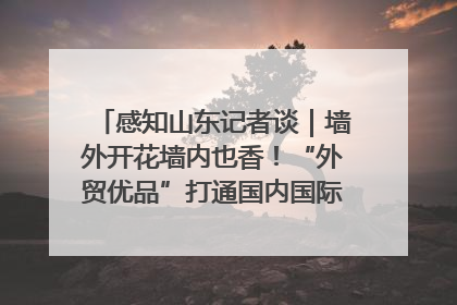 感知山东记者谈｜墙外开花墙内也香！“外贸优品”打通国内国际市场“旋转门”