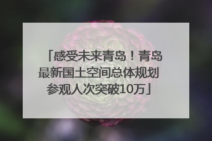 感受未来青岛！青岛最新国土空间总体规划参观人次突破10万