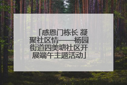 感恩门栋长 凝聚社区情——杨园街道四美塘社区开展端午主题活动