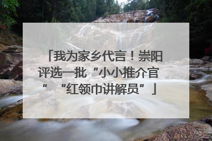 我为家乡代言！崇阳评选一批“小小推介官”“红领巾讲解员”