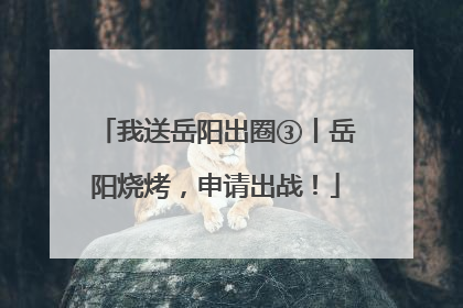 我送岳阳出圈③丨岳阳烧烤，申请出战！