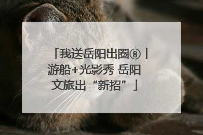 我送岳阳出圈⑧丨游船+光影秀 岳阳文旅出“新招”