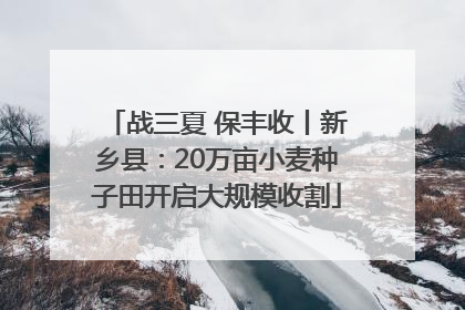 战三夏 保丰收丨新乡县：20万亩小麦种子田开启大规模收割