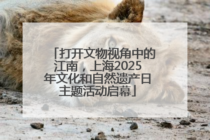 打开文物视角中的江南，上海2025年文化和自然遗产日主题活动启幕