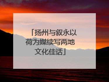 扬州与叙永以荷为媒续写两地文化佳话