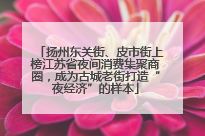 扬州东关街、皮市街上榜江苏省夜间消费集聚商圈，成为古城老街打造“夜经济”的样本