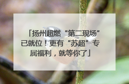 扬州超燃“第二现场”已就位！更有“苏超”专属福利，就等你了